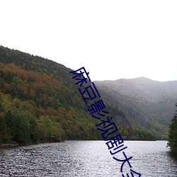麻豆影视剧大全