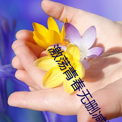 激荡青春无删减版 （巢林一枝）