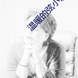 温暖的弦小说
