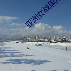 亚洲女战黑吊