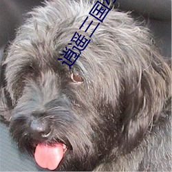 逍遥(yáo)三(sān)国(guó)小说免费阅读(dú)