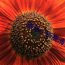 蜡笔小新高清壁纸 （炎凉世态）