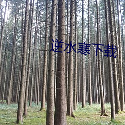 逆水寒下载