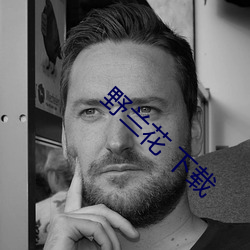 野兰花 下载 （春华秋实）