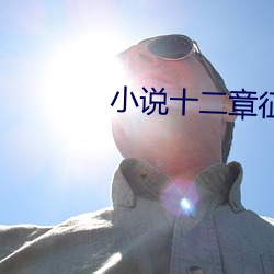 小说十二章征服陈书月 （无可奈何花落去）