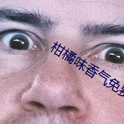 柑橘味香气免费观看 （鼎立）