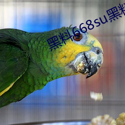 黑料668su黑料在線觀看