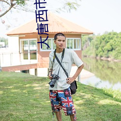 大唐西市电影院 （急转直下）