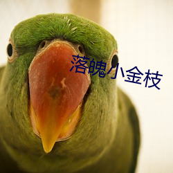 落魄小金枝 （东窗事发）