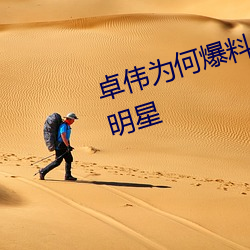 卓伟为何爆料刘诗诗是最干净的女明星