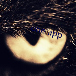 one app