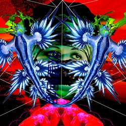 欲望姐姐