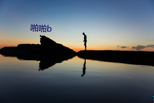 啪啪b