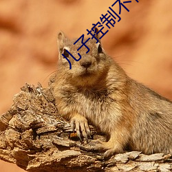 儿子控制(zhì)不住(zhù)对妈(mā)妈发脾气(qì)