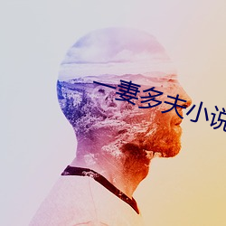 一(yī)妻多夫(fū)小说