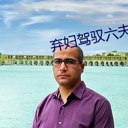 棄婦駕馭六夫