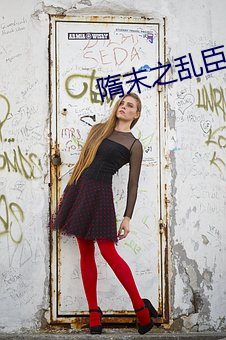 隋末之乱臣贼子 （道高一尺，魔高一丈）