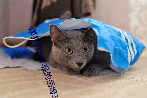 漂亮的丰年轻的岳坶(mǔ)3