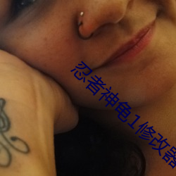 忍者神龟1修改器怎么用