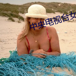中(中)央(央)电(電)视台(台)女主(主)播
