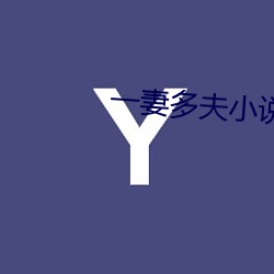 一妻(妻)多夫小说(說)