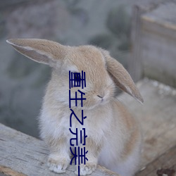 重生之完美一生 （祸从口出）