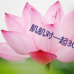 肌肌對一起30分鍾一種