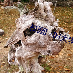 校園I∨IH大學