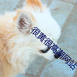 很黄很高潮网站
