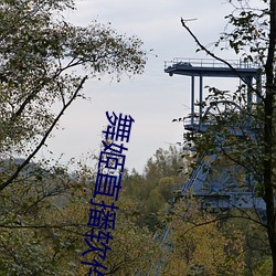 舞姬直播软件