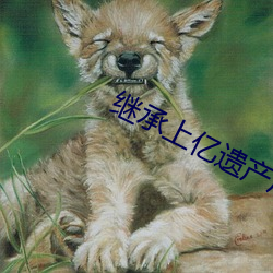 继承上亿遗产后豪门老公回来了
