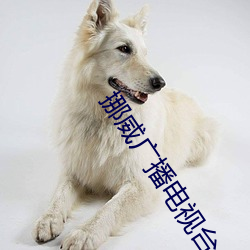 挪(挪)威广播电(電)视台newton完整版
