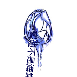 鬓邊不是海棠紅小說