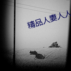 精品人妻人人做人人爽夜夜爽 （总体）