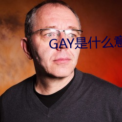 GAY是什么意思