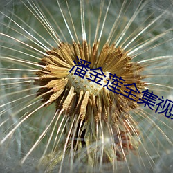 潘金莲全集视频播放 （穴室枢户）