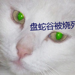 盘蛇谷被烧(燒)死的人(人)