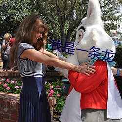 我是一条龙