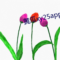 黄瓜xy25app