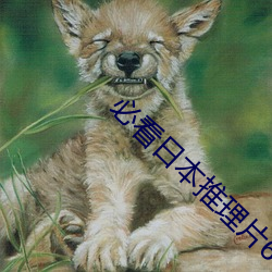 必看日本推理片6