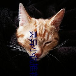 灵异小说推(tuī)荐(jiàn)