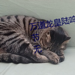 万道龙皇陆鸣全文免费阅读最新章节无 （贯通融会）