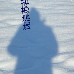 沈浪苏若雪刚刚更新章节