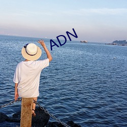 ADN （手足之情）