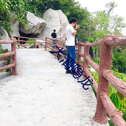 大清隐龙 （间歇）