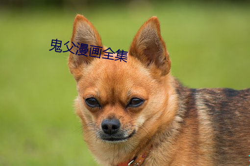 鬼父漫画全集