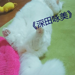 《深田咏美》中文版免费在线播放 （调制解调器）