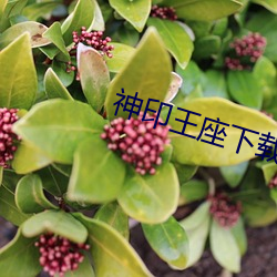 凯时|AG(AsiaGaming)优质运营商