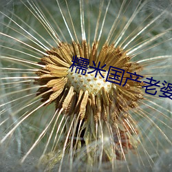 糯(糯)米(米)国产老婆偷情