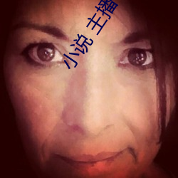 小說 主播 綜合
